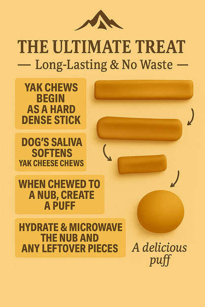 WollyWag Yak Cheese Dog Chews – 5 Small Long-Lasting Treats for Dogs (0–15 lb)